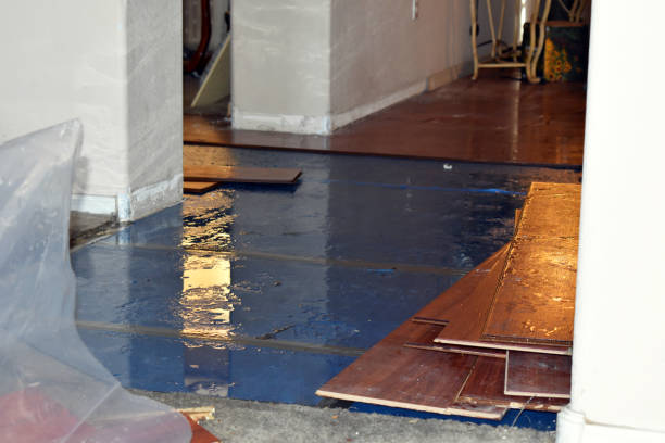 Professional Basement Flood Cleanup technician working in Saint Paris, OH